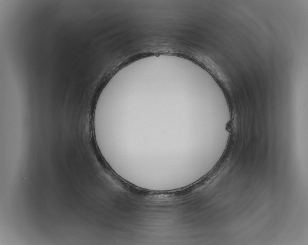 X0000111930449200908101145