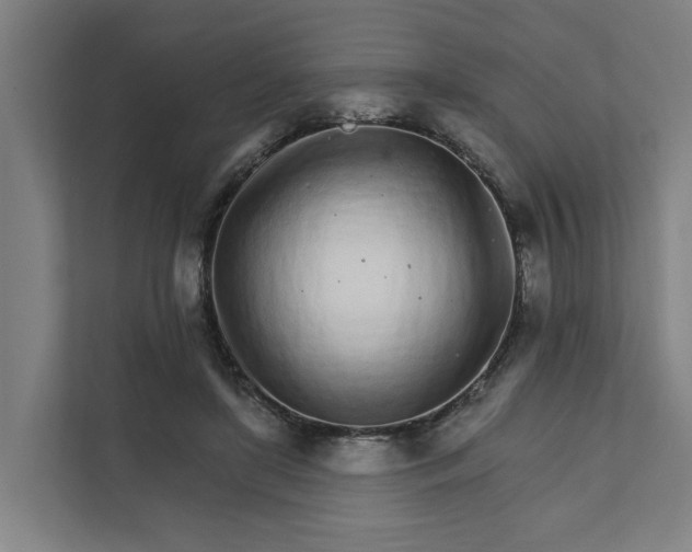 X0000111930451200908101145