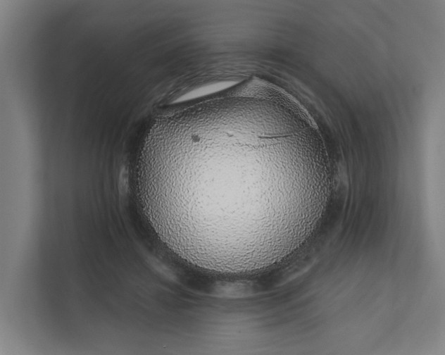 X0000111930452200908101145