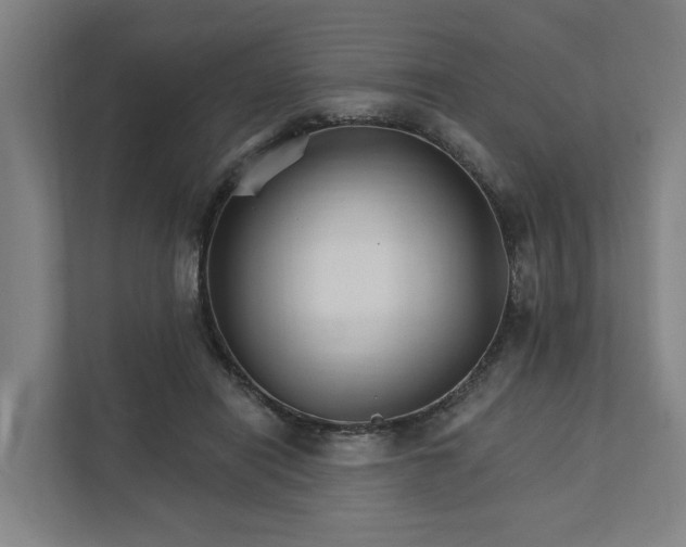 X0000111930454200908101145