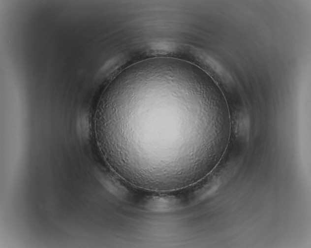 X0000111930455200908101145