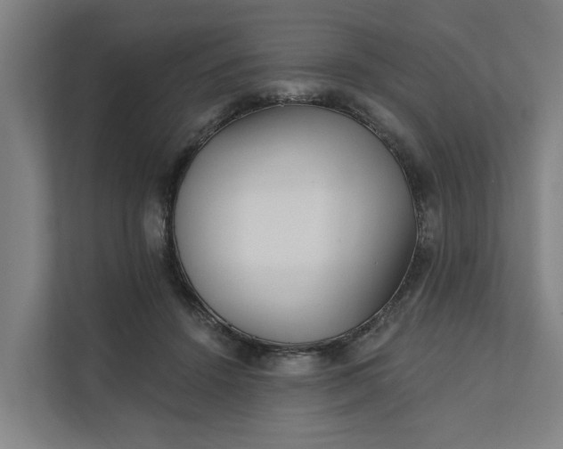 X0000111930456200908101145