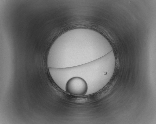 X0000111930458200908101145