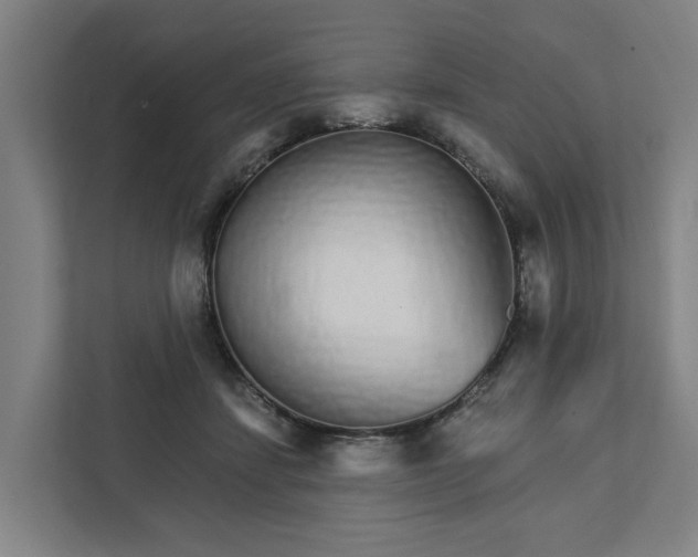 X0000111930459200908101145