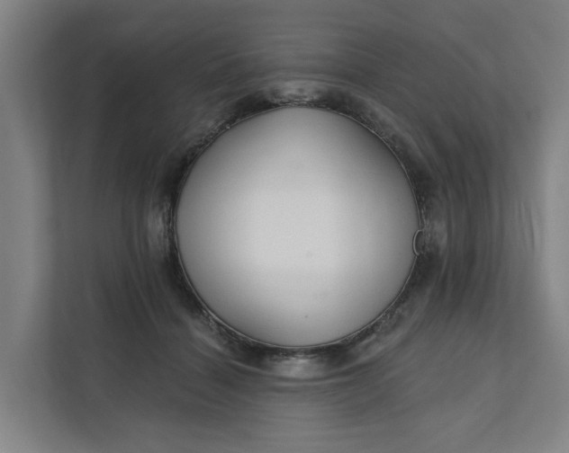 X0000111930460200908101145