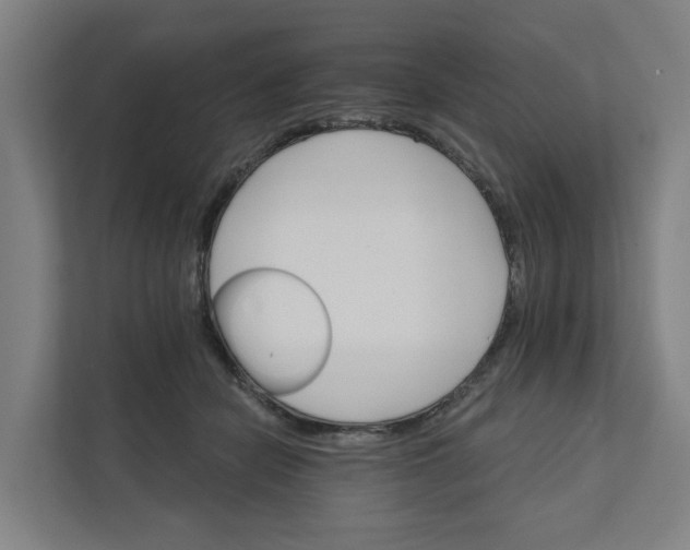 X0000111930462200908101145