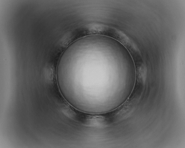 X0000111930463200908101145