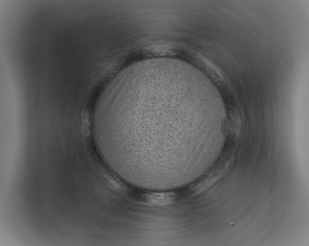 X0000111930465200908101145