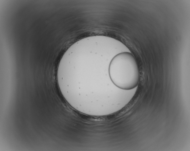 X0000111930466200908101145