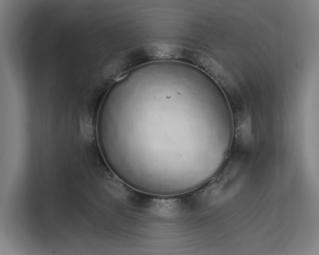 X0000111930469200908101145