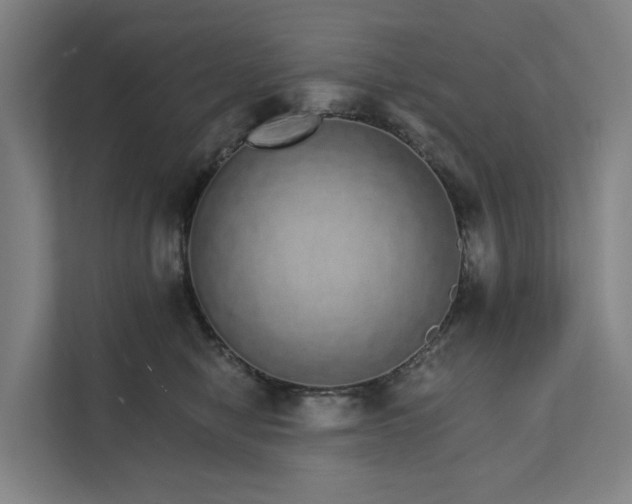 X0000111930470200908101145