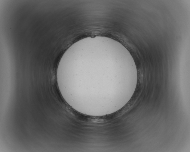 X0000111930471200908101145