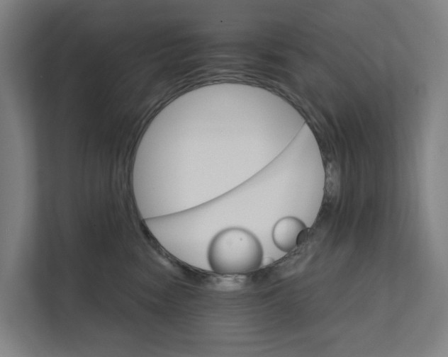 X0000111930474200908101145