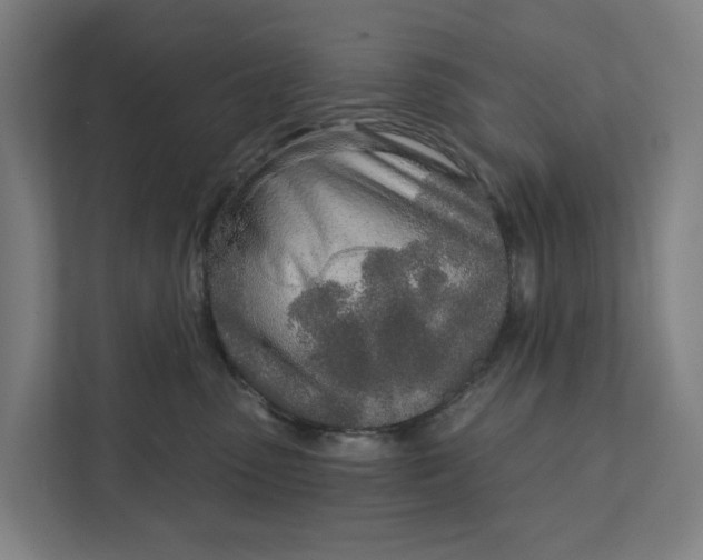 X0000111930475200908101145