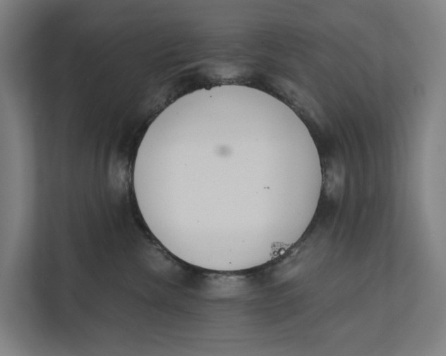 X0000111930476200908101145