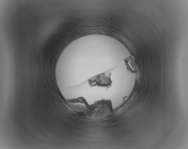 X0000111930477200908101145