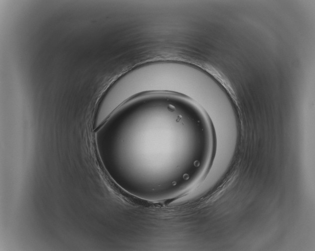 X0000111930481200908101145