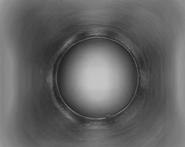 X0000111930482200908101145