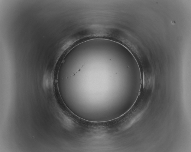 X0000111930483200908101145