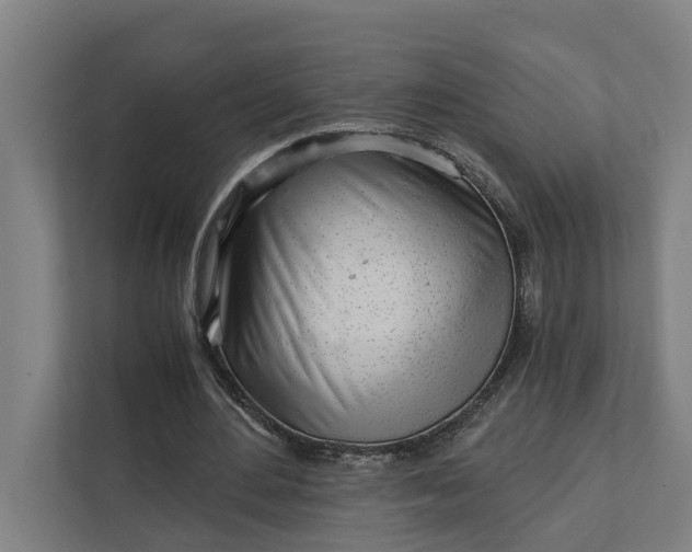 X0000111930484200908101145