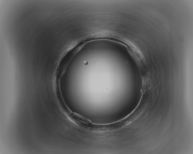 X0000111930485200908101145