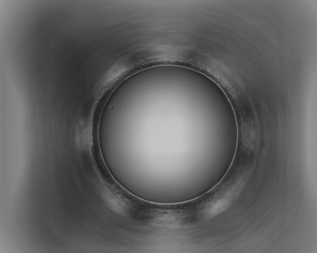 X0000111930486200908101145