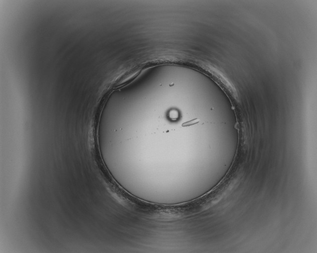 X0000111930489200908101145