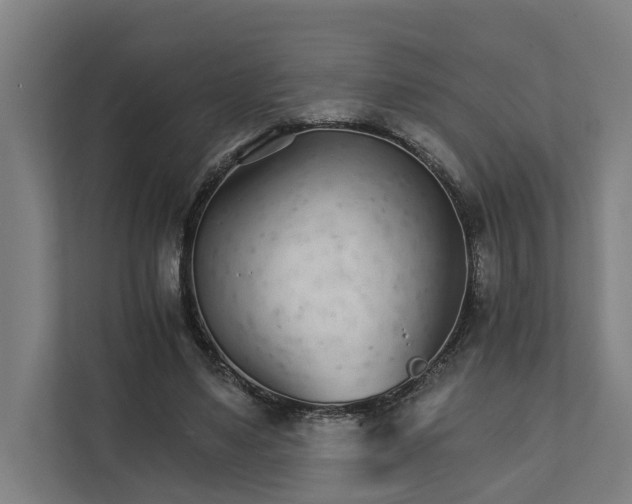 X0000111930491200908101145