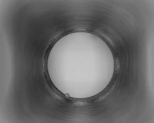 X0000111930494200908101145