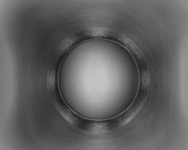 X0000111930495200908101145