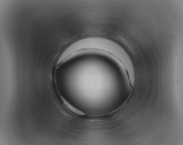 X0000111930500200908101144