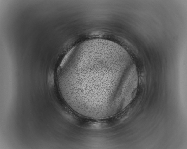 X0000111930504200908101144