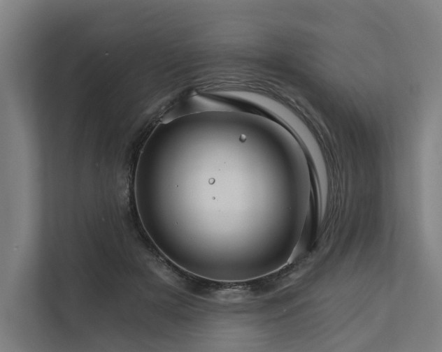 X0000111930505200908101144