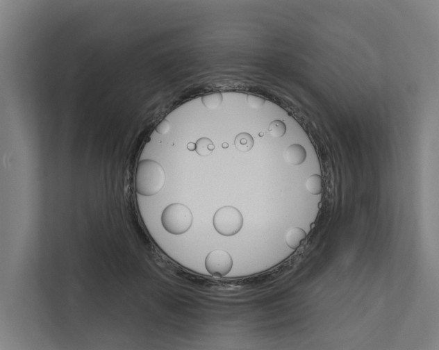 X0000111930507200908101144