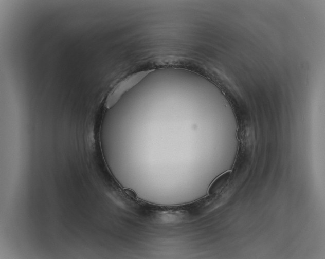 X0000111930508200908101144