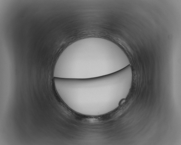 X0000111930509200908101144