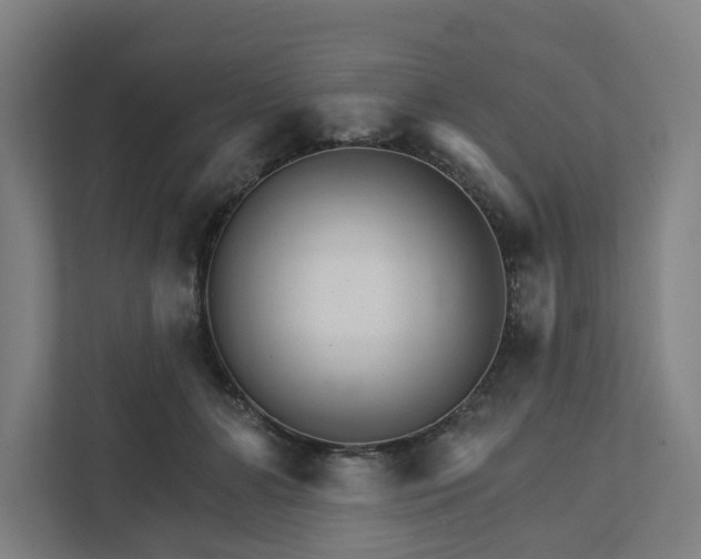 X0000111930510200908101144