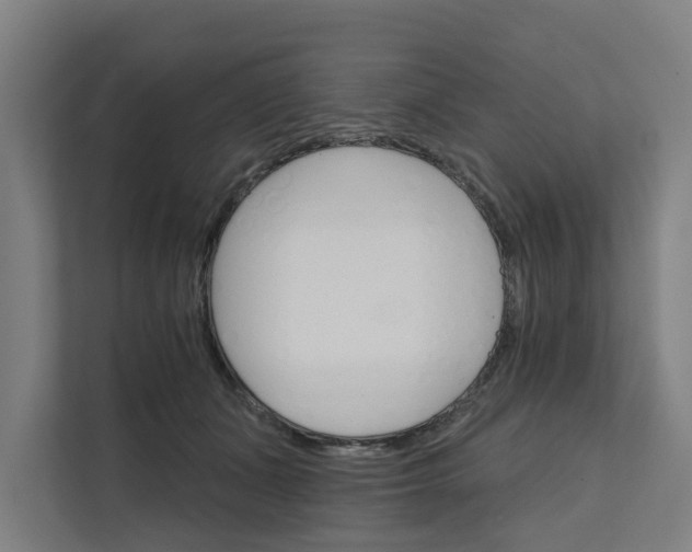 X0000111930511200908101144