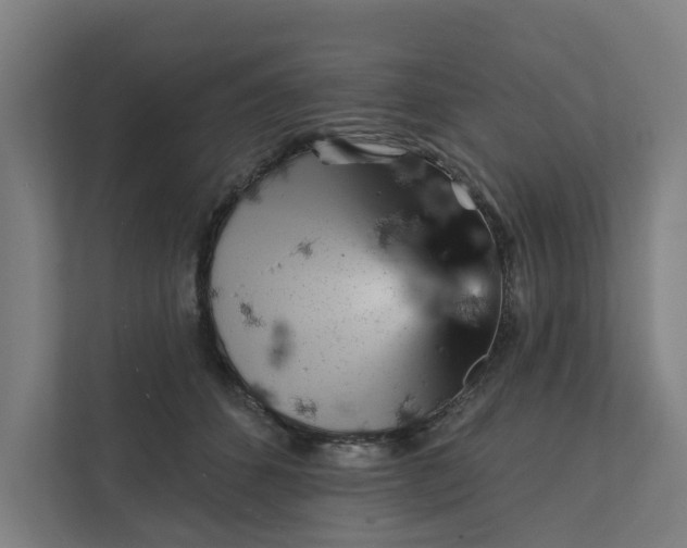 X0000111930512200908101144