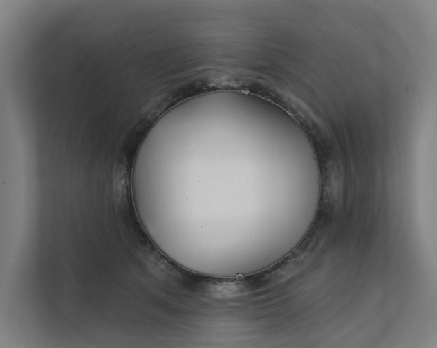 X0000111930513200908101144