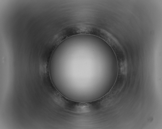 X0000111930514200908101144