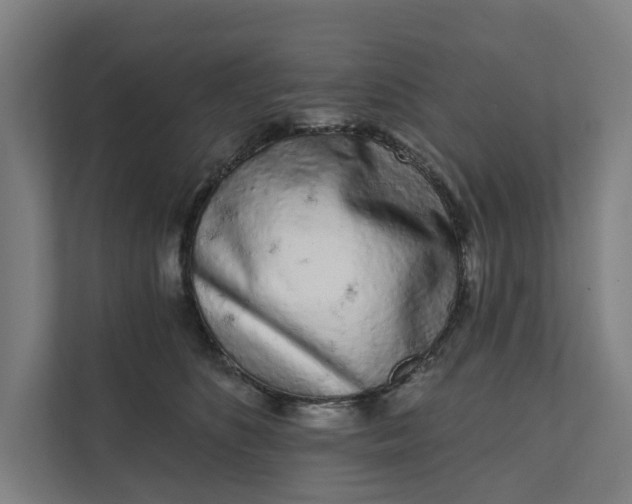 X0000111930516200908101144