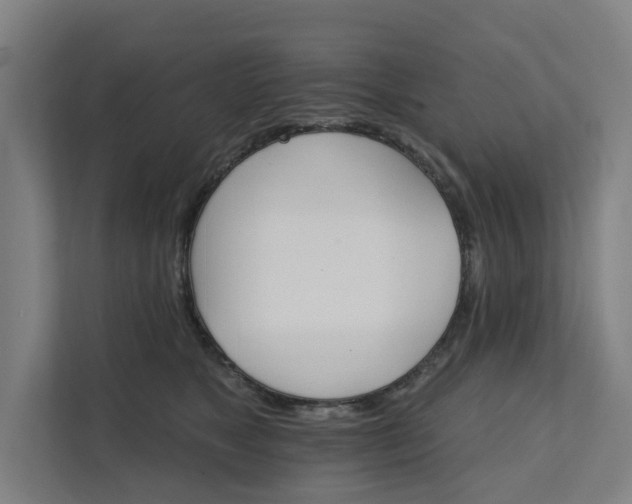 X0000111930517200908101144