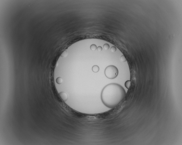 X0000111930519200908101144