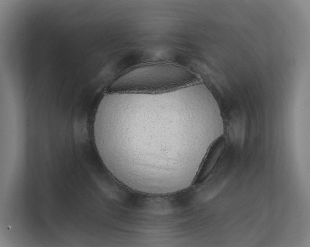 X0000111930520200908101144