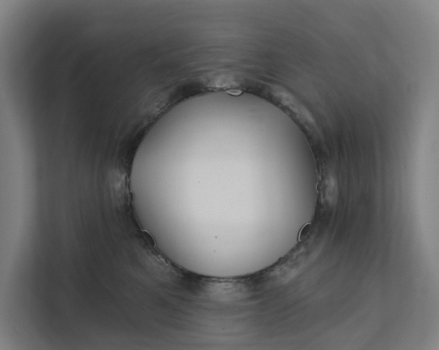 X0000111930521200908101144