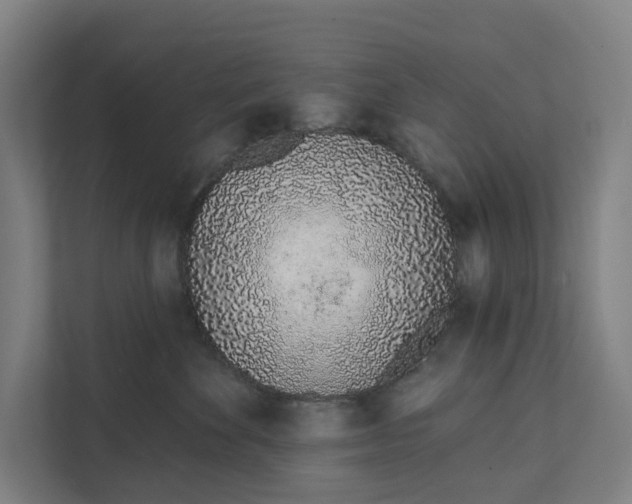 X0000111930524200908101144