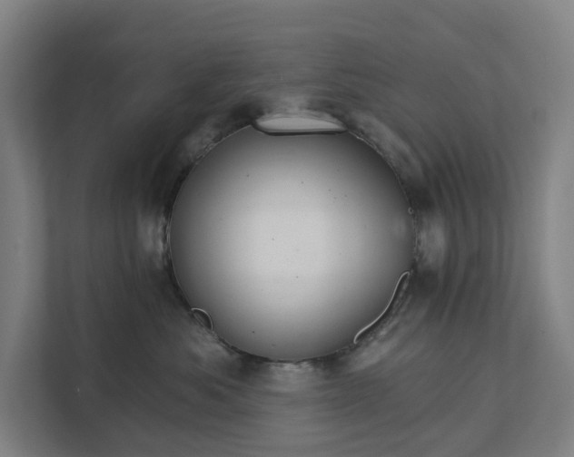 X0000111930525200908101144