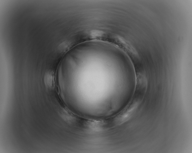 X0000111930527200908101144