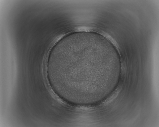 X0000111930529200908101143